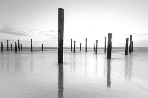 zwartwit reflectie kalm