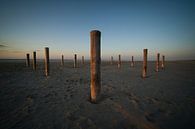 Palen op het strand in sereen ritme van Theo Felten thumbnail