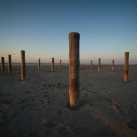 Palen op het strand in sereen ritme van Theo Felten