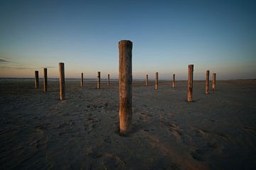 Palen op het strand in sereen ritme van Theo Felten