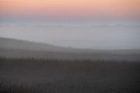 Abendnebel auf der Hoge Veluwe