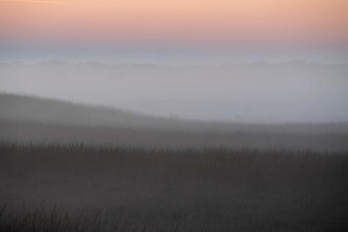 Abendnebel auf der Hoge Veluwe