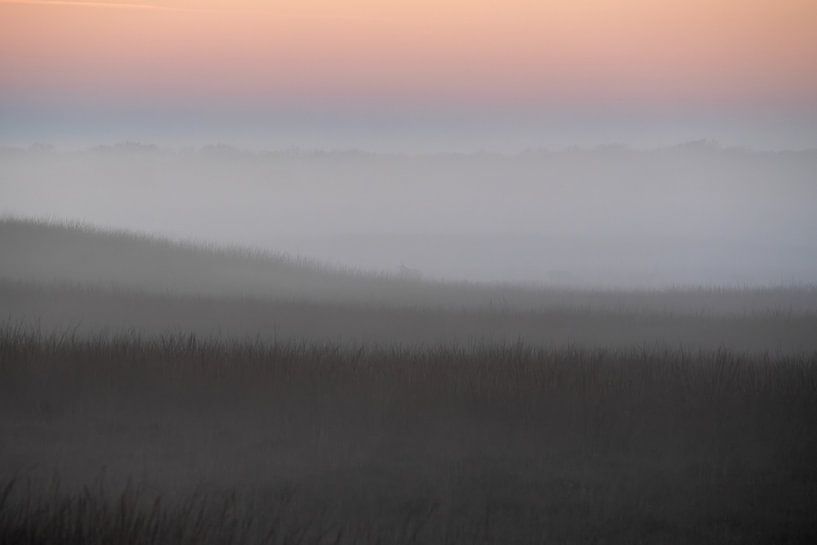 Abendnebel auf der Hoge Veluwe von Signatuur Fotografie