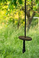 Swing from a wooden disc hangs from a thick rope in a wild garden