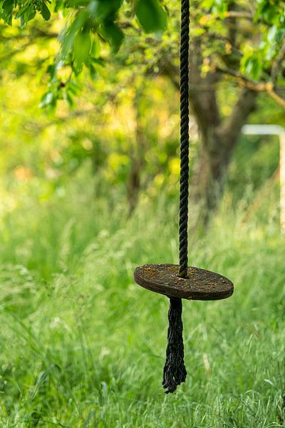 Swing from a wooden disc hangs from a thick rope in a wild garden by Hans-Jürgen Janda
