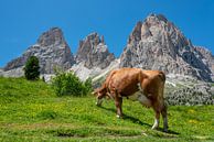 Die Dolomiten von Paul van Baardwijk Miniaturansicht