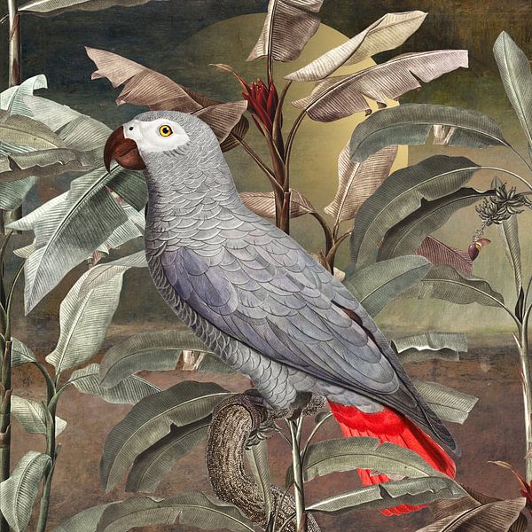 Vintage Parrot by Marja van den Hurk