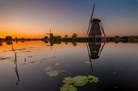 Beautiful Kinderdijk by Marc Smits thumbnail