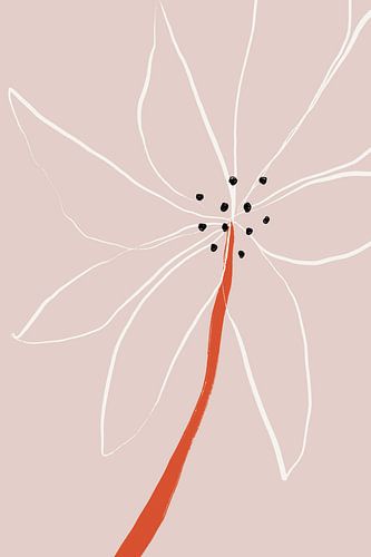 Delicate Abstract Flower with White Petals