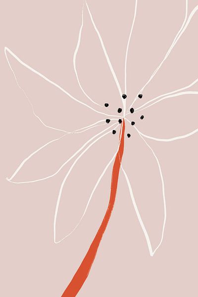 Delicate Abstract Flower with White Petals by uplusmestudio 