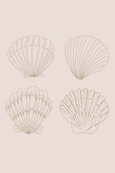 Schelpen combinatie