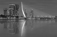 Skyline van Rotterdam met Erasmusbrug in zwart-wit. van Ilya Korzelius thumbnail