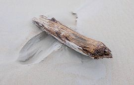 Le bois sur la plage sur Bart Vastenhouw