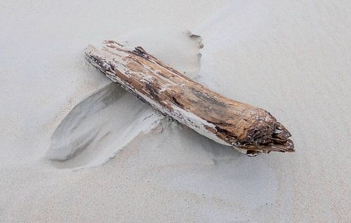 Hout op het strand