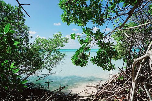 Bonaire, Lac Cai sur Angela Seubring