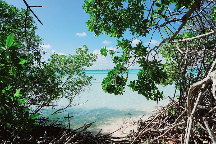 Bonaire, Lac Cai par Angela Seubring