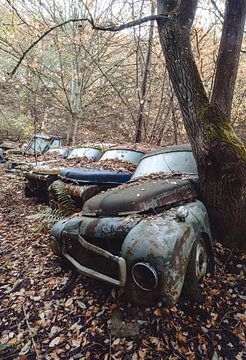 Abandoned cars by dafne Op 't Eijnde