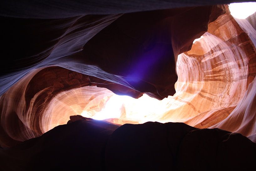 art of nature by Iris Timmermans