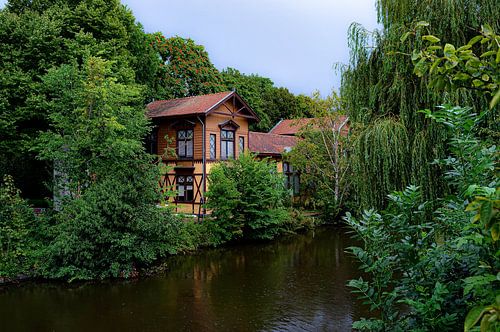 Huizen bij Artis Amsterdam, aan kanaal, omringd door bomen