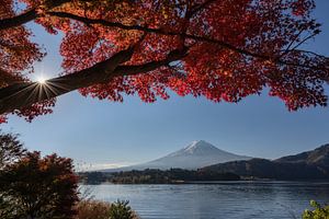 Der Kawaguchi-See im Herbst mit dem Fuji-Vulkan im Hintergrund