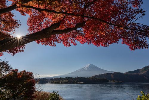 Het Kawaguchi meer in de herfst met de Fuji vulkaan in de achtergrond