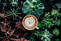 Coffee art cappuccino