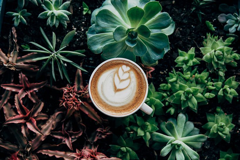 Café art cappuccino par Jan Bechtum
