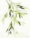 Bladeren van het bamboe IV Green, Danhui Nai van Wild Apple thumbnail