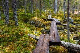 Manieren om te ontspannen XXVI van Daniela Beyer