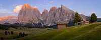 Panorama van de Alpe di Siusi, Italië