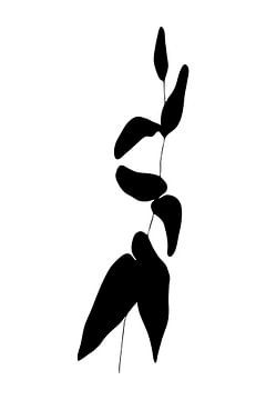 Botanical basics. Black and white drawing of simple leaves no. 6 by Dina Dankers