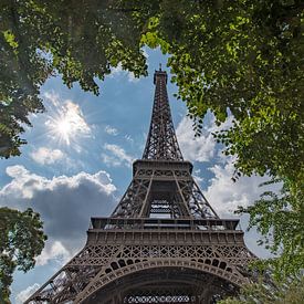 Der Eiffelturm in Paris bei den Bäumen von Mike Peek