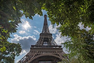 Der Eiffelturm in Paris bei den Bäumen