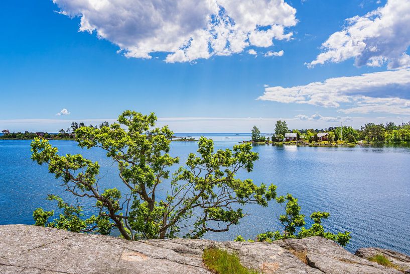 Baltic Sea coast with rocks and trees on the island of Uvö in Sweden by Rico Ködder