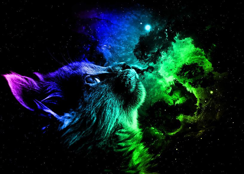 Cat Galaxy by Mateo