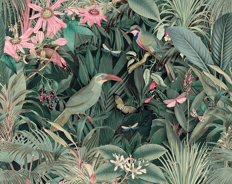 Jungle Paradijs van Andrea Haase