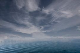 View over the lake. by Brian Morgan