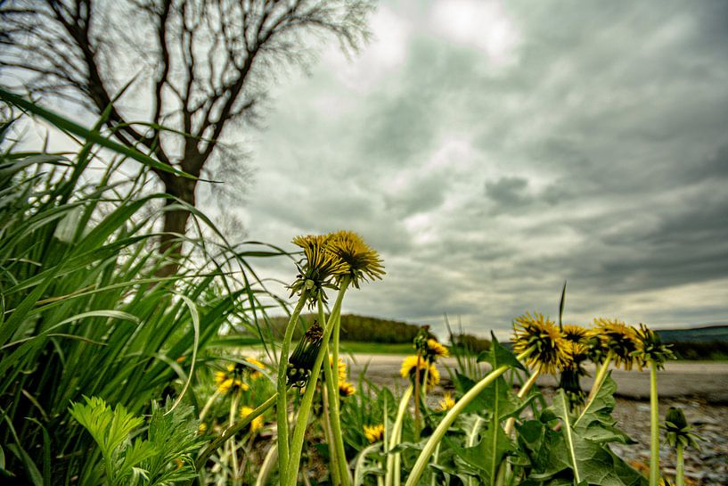Landschap in het Erzgebergte van Johnny Flash