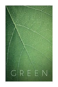 Green 08 von Christian Müringer