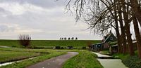 Dijk bij Schellinkhout van Yolande Mulder thumbnail