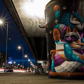 Rotterdam streetart van Simon van Leeuwen