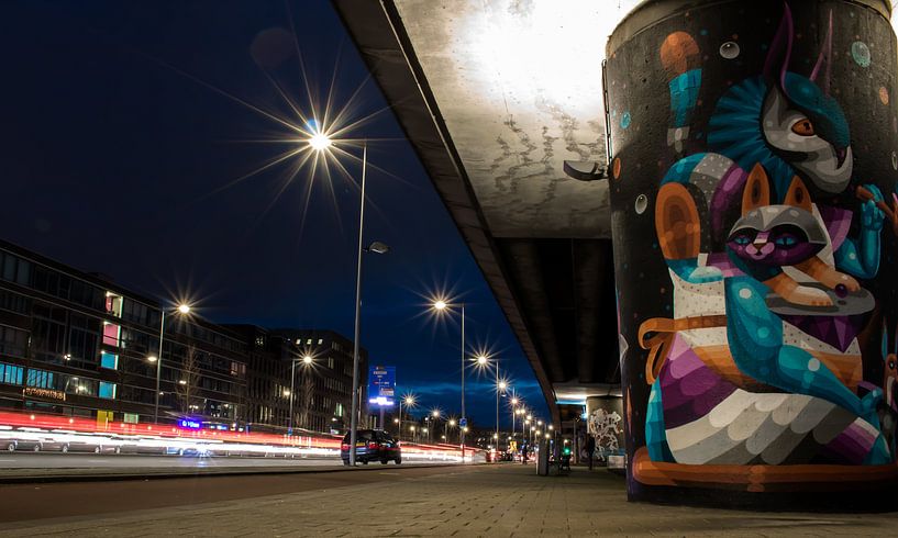 Rotterdamer Straßenkunst von Simon van Leeuwen