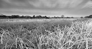 Winterlandscape in black and white sur Peter Bolman