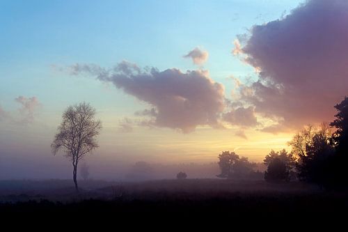Coucher de soleil dans le champ