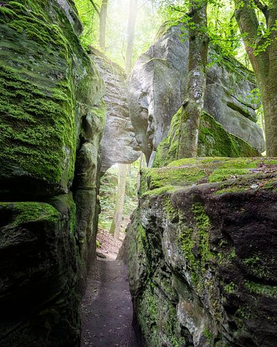 Felsenland, Luxemburg Zwitserland, Europa
