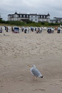 Am Strand von Ahlbeck (Insel Usedom)