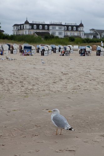 Sur la plage d'Ahlbeck (île d'Usedom)