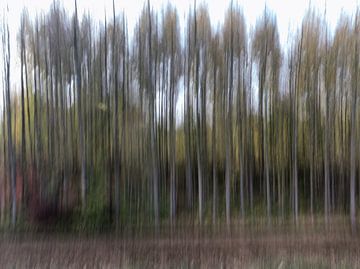 Abstrakter Wald von Eddie Meijer