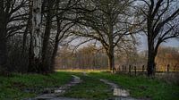 Footpath at estate Eerde