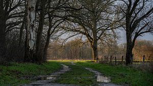 Wandelpad bij landgoed Eerde van Bert Visser